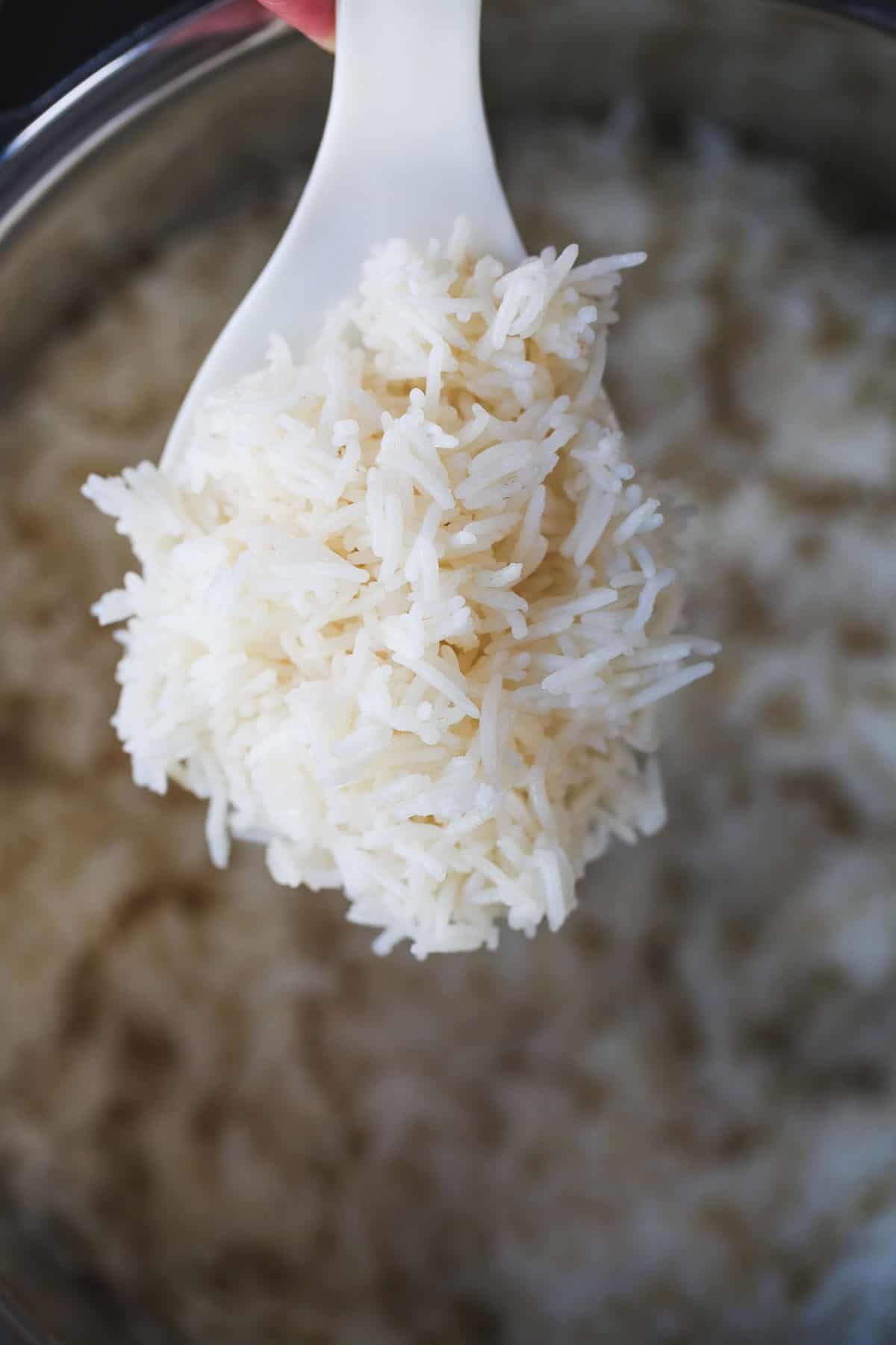 A serving spoon with instant pot rice
