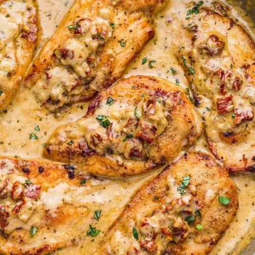 gourmet chicken recipes