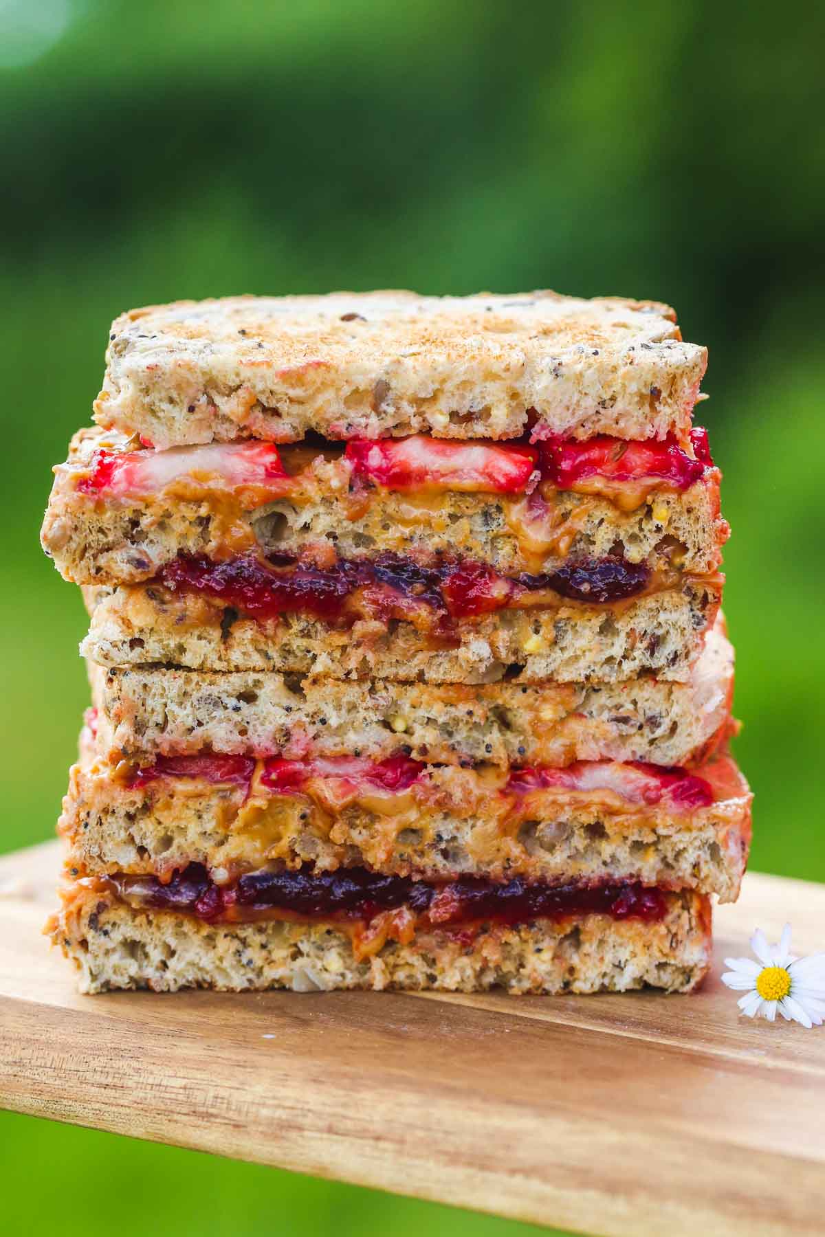 Peanut Butter and Jelly Sandwich, with a green background